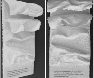 <b>Riderless White Horses</b>
<br>
43cm x 15cm Plaster Relief
<br>
(Quote from the ‘Lewis Man’ Peter May)
<br>
£150