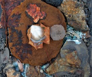 <b>Rock Pools</b>
<br>
30x30cm
<br>
Found objects mixed media on board
<br>
£275 Rock Pools artwork